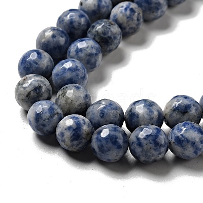 Natural Blue Spot Jasper Beads Strands G-P476-01D-02-1