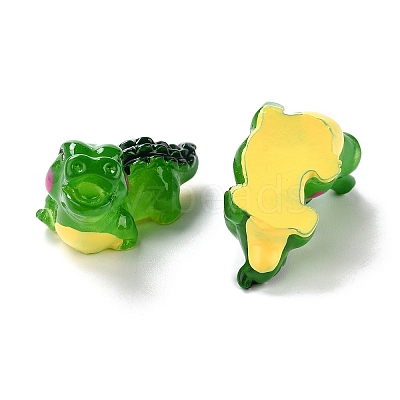 Resin Cabochons LS-RESI-I043-09-1