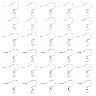 316 Surgical Stainless Steel Earring Hooks STAS-P220-13RG-1