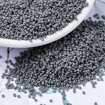 MIYUKI Round Rocailles Beads X-SEED-G009-RR0499-1