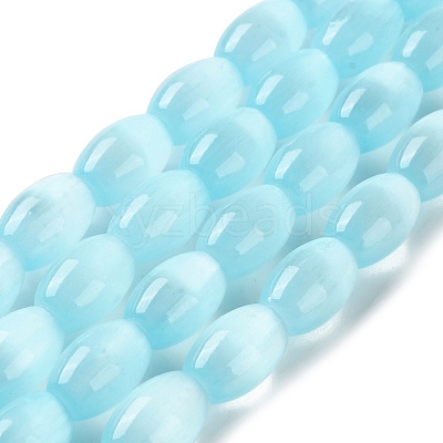Macaron Color Natural Selenite Beads Strands X1-G-B102-A01-06-1