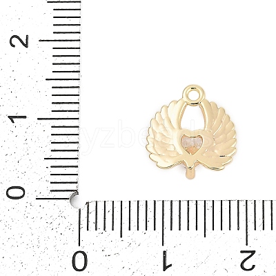 Brass Micro Pave Cubic Zirconia Charms ZIRC-P122-01B-G01-1
