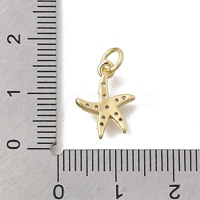 Brass Micro Pave Clear Cubic Zirconia Charms KK-D431-053C-G-1