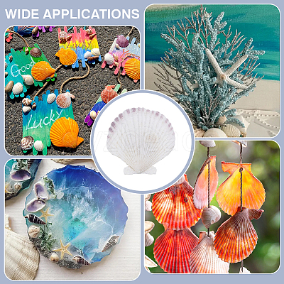 60Pcs Natural Shell Jewelry Decorative Plate AJEW-GA0009-64C-1