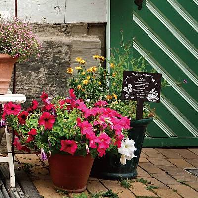 Acrylic Garden Stake AJEW-WH0366-002-1