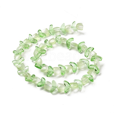 Transparent Glass Beads Strands LAMP-H061-02E-1