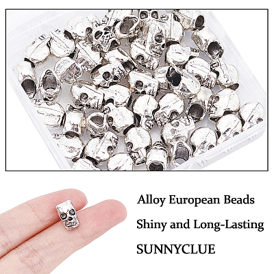 Alloy European Beads PALLOY-SC0003-41AS-1