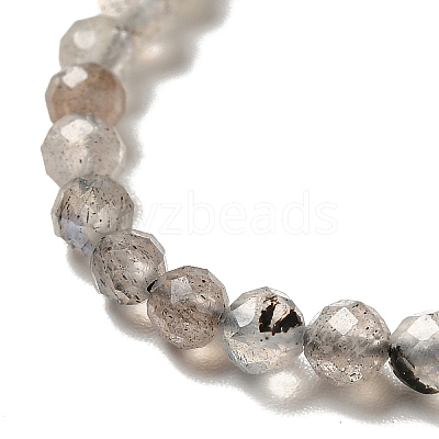 Natural Labradorite Beads Strands G-I341-11-1