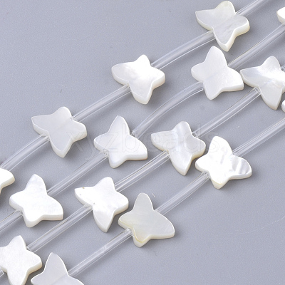 Natural White Shell Beads SSHEL-S264-069A-1