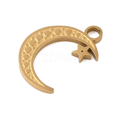 304 Stainless Steel Pendants STAS-P377-02G-1