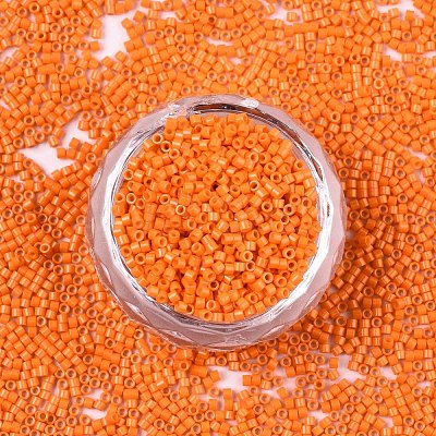 FGB 11/0 Grade A Glass Seed Beads SEED-S030-1019-1