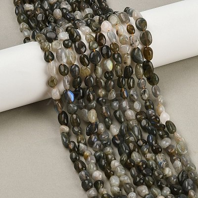 Natural Labradorite Beads Strands G-C250-03-1