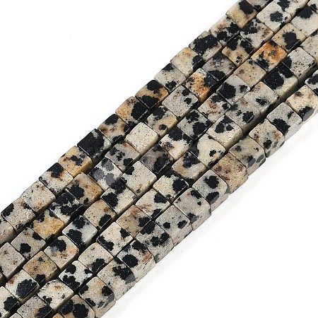 Natural Dalmatian Jasper Beads Strands G-B129-A19-01-1