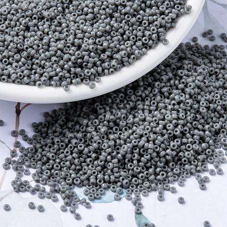 MIYUKI Round Rocailles Beads X-SEED-G009-RR0499-1