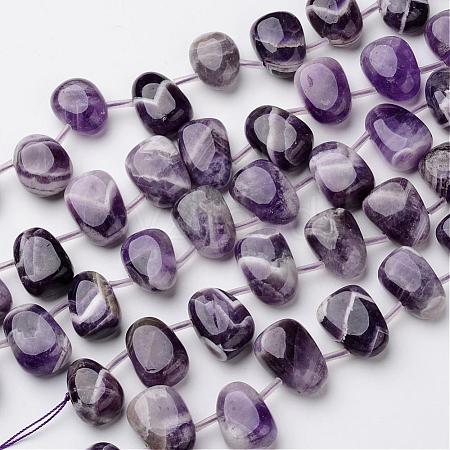 Natural Amethyst Beads Strands G-D827-01-1