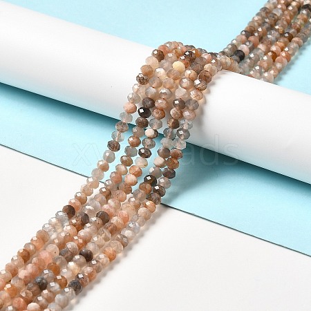 Natural Multi-Moonstone Beads Strands G-I341-06-1