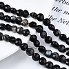 Natural Agate Beads Strands G-N326-100A-12-2