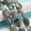 Natural Labradorite Beads Strands G-P528-M10-01-2