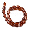 Natural Carnelian(Dyed & Heated) Beads Strands G-K365-B01-01-3