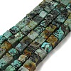 Natural African Turquoise(Jasper) Beads Strands G-F631-K24-1