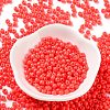 Baking Paint Glass Seed Beads SEED-H002-I-B513-2