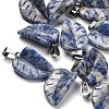 Natural Blue Spot Jasper Pendants G-B127-01P-01-1