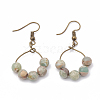 Natural Aqua Terra Jasper Dangle Earrings EJEW-S202-011B-1