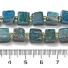 Natural Apatite Beads Strands G-G053-B18-03-5