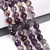 Natural Purple Lodolite Quartz/Purple Phantom Quartz Beads Strands G-T140-21C-2