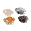 Natural Brazilian Agate Display Decorations DJEW-A008-08-1