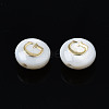 Natural Freshwater Shell Beads SHEL-S278-036G-2