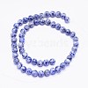 Natural Blue Spot Jasper Bead Strands X-G-F425-26-2