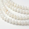 Dyed Natural Freshwater Shell Rondelle Bead Strands BSHE-O016-19D-1