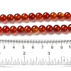 Natural Carnelian Beads Strands G-G390-8mm-03-2