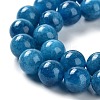 Dyed Natural Malaysia Jade Beads Strands G-G021-02C-10-4