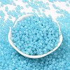 6/0 Imitation Jade Glass Seed Beads SEED-T006-04A-08-2