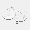 925 Sterling Silver Charms STER-I014-19S-2