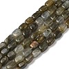 Natural Labradorite Beads Strands G-H087-D03-01-1