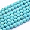 Natural Magnesite Beads Strands TURQ-G148-07-8mm-1