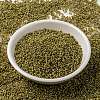 MIYUKI Round Rocailles Beads SEED-G009-RR4512-1