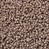 MIYUKI Delica Beads LS-X-SEED-J020-DB2105-3