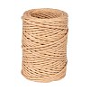 Handmade Iron Wire Paper Rattan OCOR-WH0017-02-1