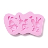 Easter Theme Food Grade Silicone Molds DIY-C019-03-1