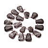 Natural Plum Blossom Tourmaline Beads Strands G-H078-A01-01-2