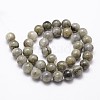 Natural Labradorite Bead Strands G-G735-29-6mm-2