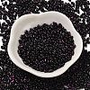 Spray Painted Glass Seed Beads SEED-F005-08A-01-2