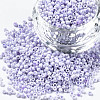 Glass Seed Beads SEED-S060-A-978-1