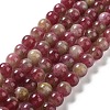 Natural Jade Imitation Watermelon Tourmaline Beads Strands X-G-NH0006-A01-02-1-1
