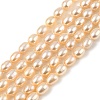 Natural Cultured Freshwater Pearl Beads Strands PEAR-I007-01A-03B-2