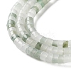 Natural Tianshan Cui Quartzite Beads Strands G-H230-65-4